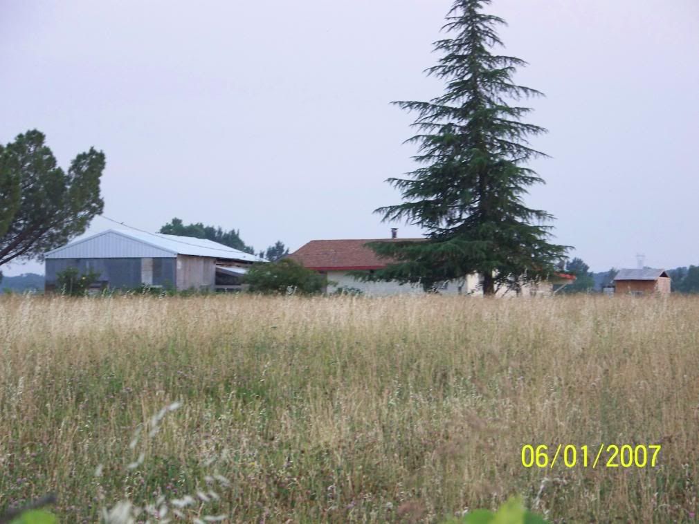 Some more Pic of our little home... - Homesteading Questions