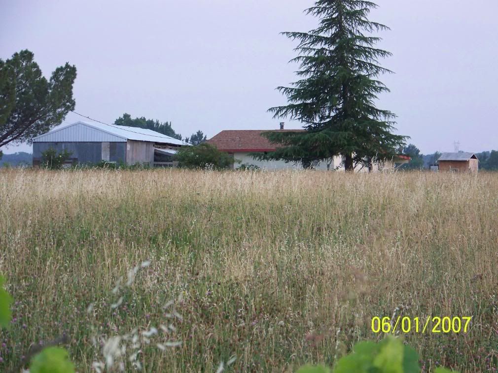 Some more Pic of our little home... - Homesteading Questions