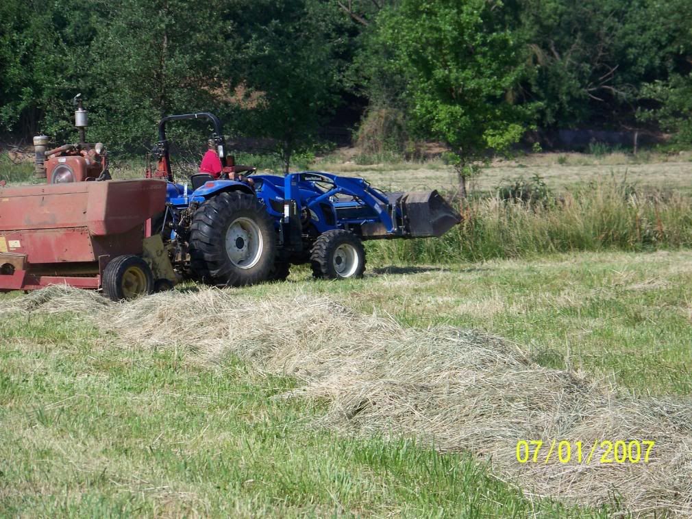 Some more Pic of our little home... - Homesteading Questions