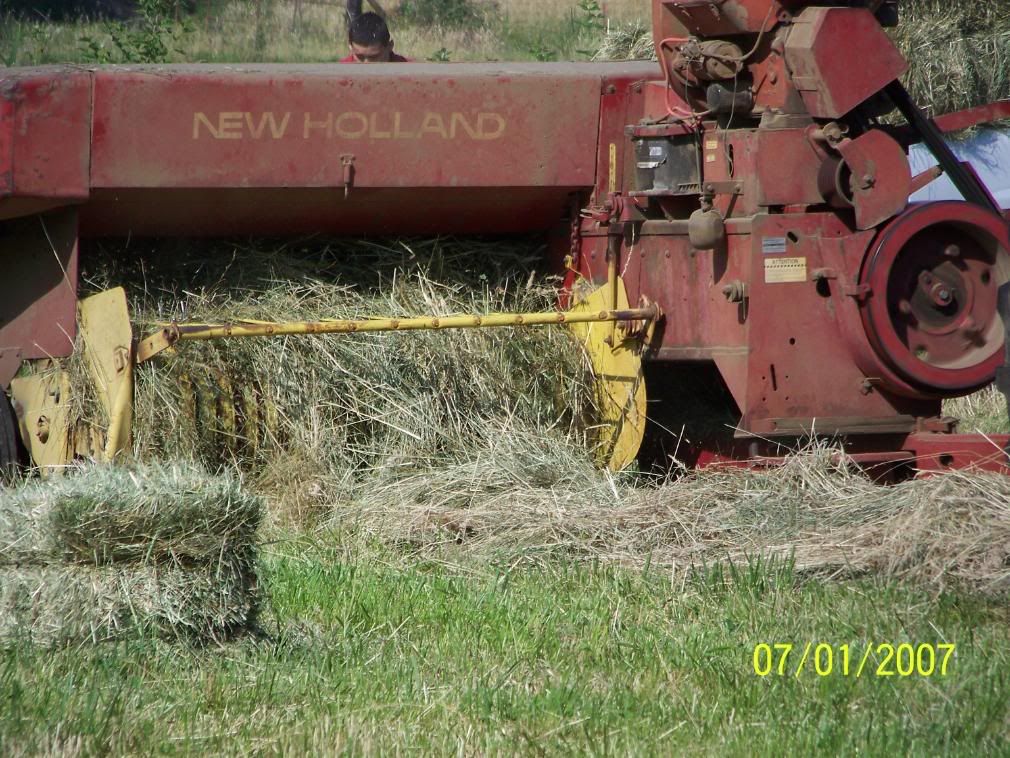 Some more Pic of our little home... - Homesteading Questions