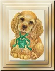 Shamrock Pup