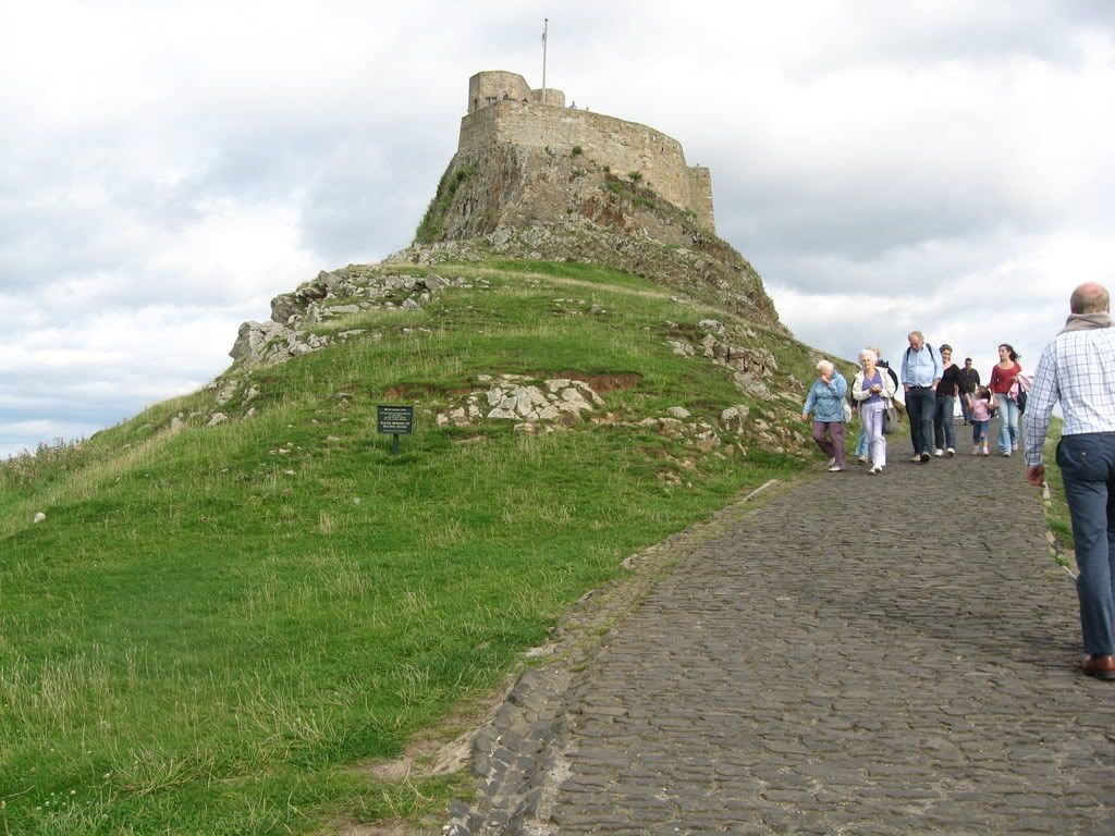IMG_0517.jpg