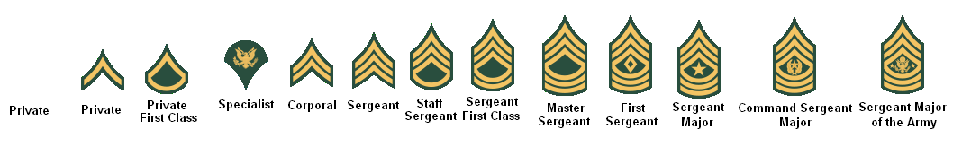 USArmyEnlisted.png