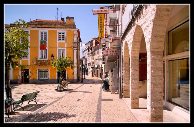 Aveiro, una ciudad muy salada - Saudade en Oporto (15)