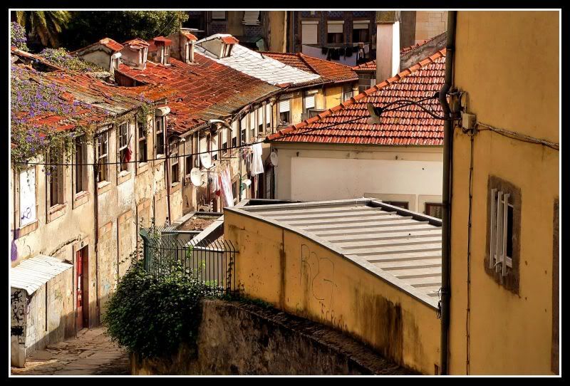 Seis puentes y un vino dulce - Saudade en Oporto (4)