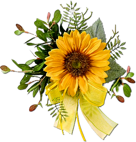 http://i277.photobucket.com/albums/kk57/anirgi/Sunflowers/AG-SunflowerArrangement1a_450.png~original