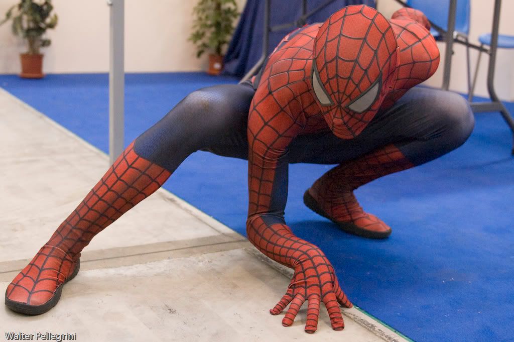 Spider-Man Cosplay - Photos
