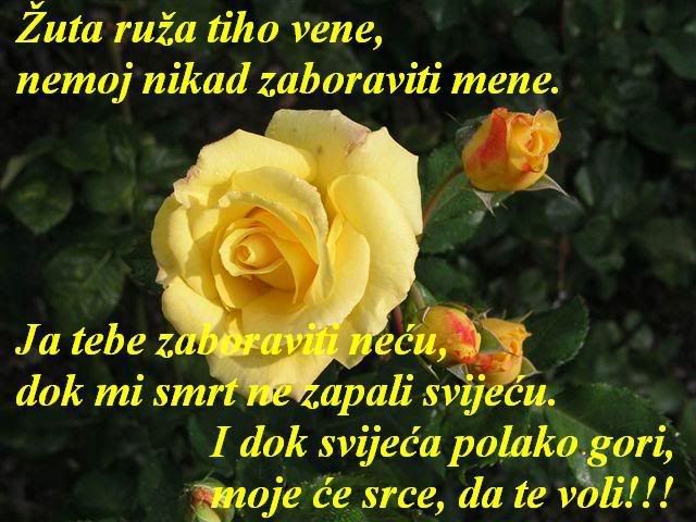 MOJE TE SRCE VOLI Pictures, Images and Photos