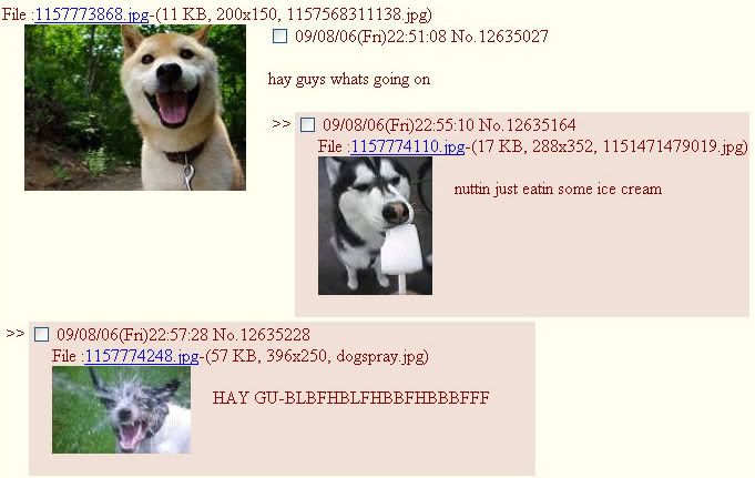 dogskn9pg5.jpg