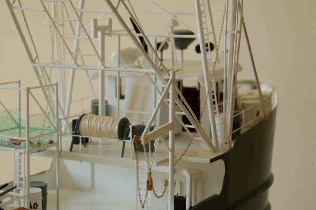 DSC_0009-5.gif
