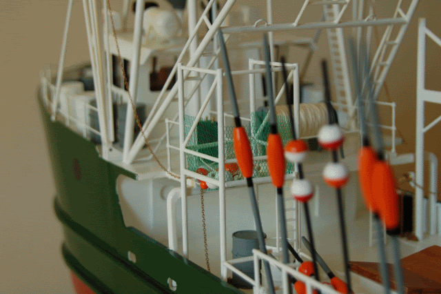 DSC_0012-4.gif