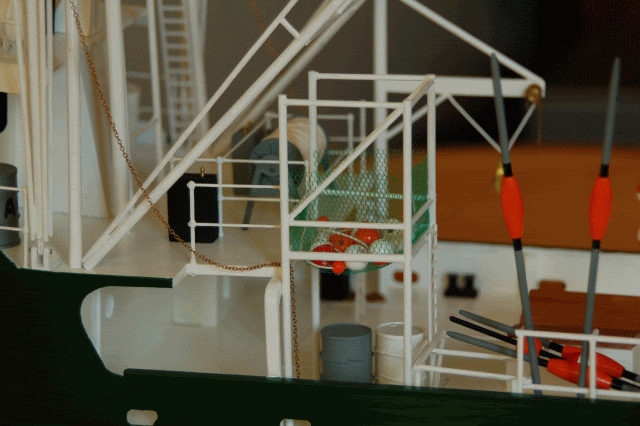DSC_0014-2.gif
