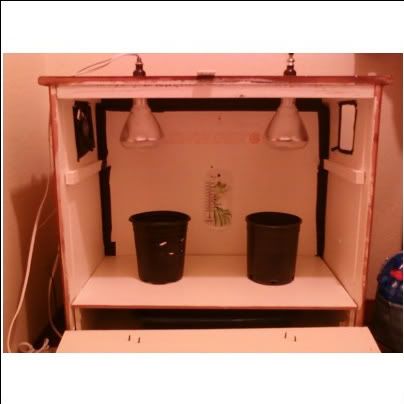 Homemade Grow Box