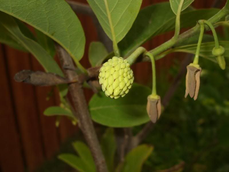 DSCF2988.jpg