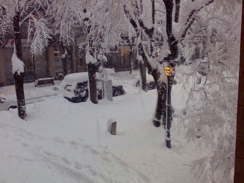 10032010021.jpg