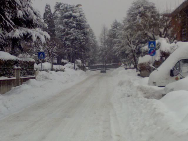 2f4c8a36.jpg