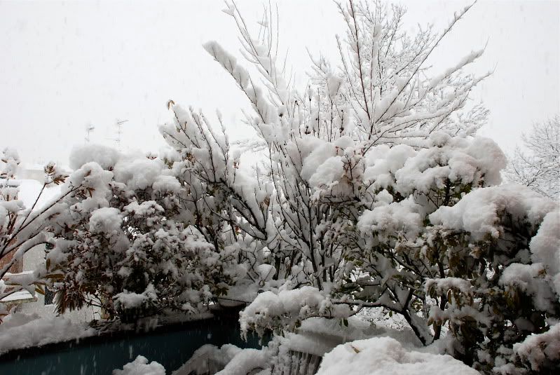 DSC_0004_2.jpg