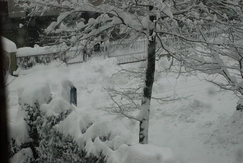 DSC_0006_3.jpg