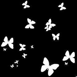 butterflies