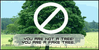 Neskaya.Net Quiz: What Kind of Tree are You