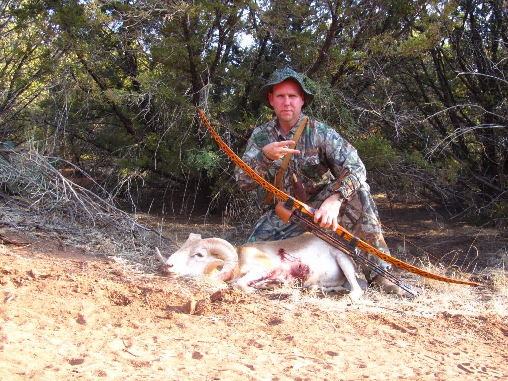 Hickory bows are very forgiving and very effective, as was this rawhide backed, #50 Choctaw bow.