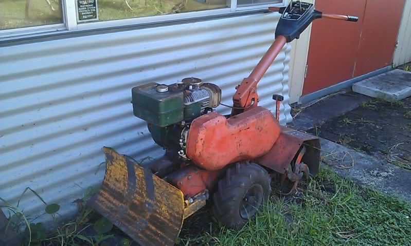 D99D5CB5-orig.jpg