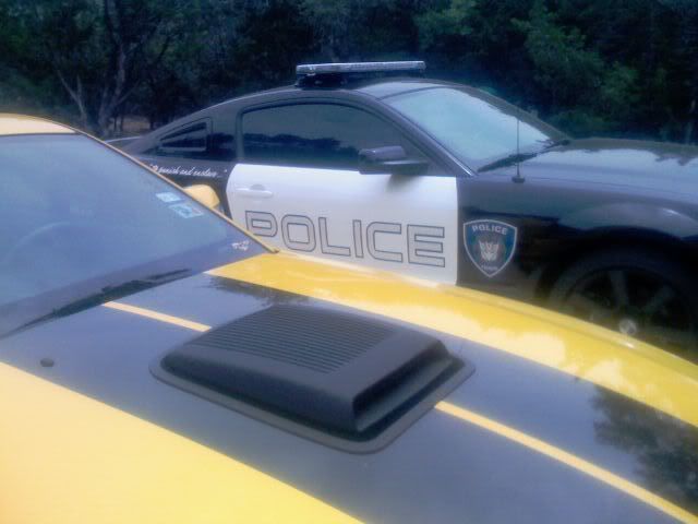 009-2.jpg