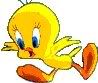 Tweety flying