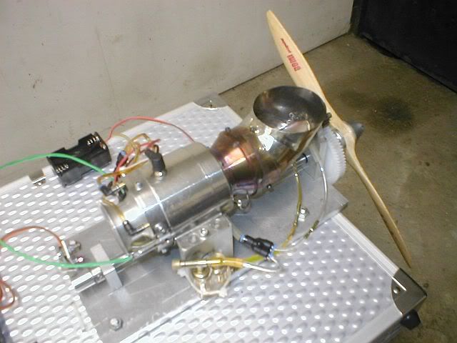 P1010300.jpg