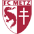 MetzLogo.png