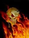 skull and flames Pictures, Images and Photos