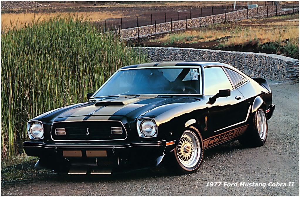 1977 Ford Mustang. http://mustangboards.com/
