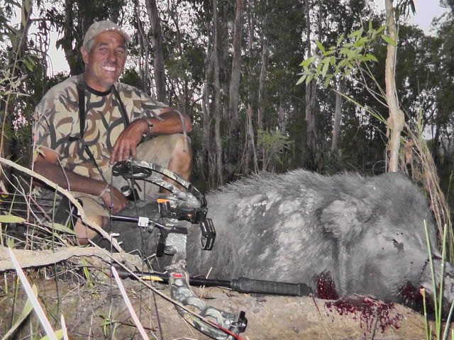 Australian Water Buffalo