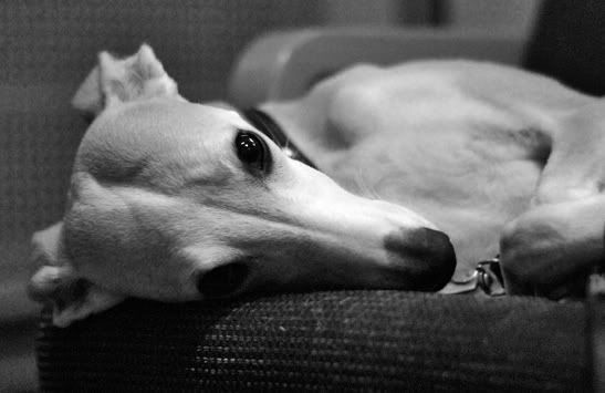 41993_1222617931.jpg