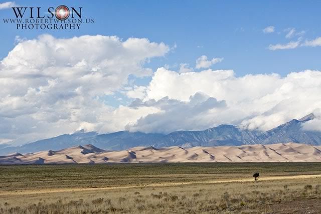 Great Sand Dunes National Park,Colorado