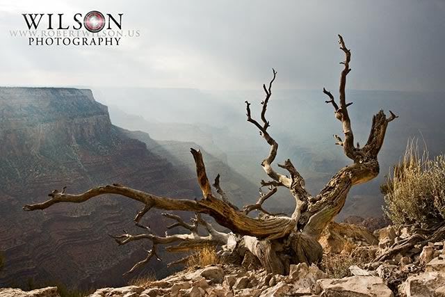 Grand Canyon National Park,Arizona