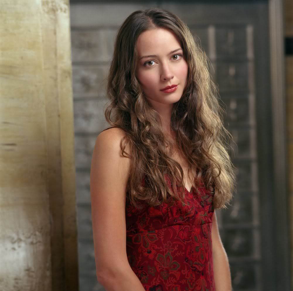 Sexy Celebrity Photo Gallery, Amy Acker picture