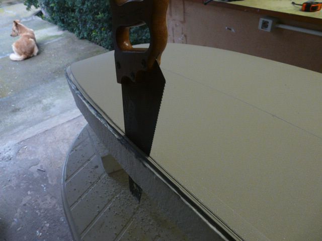 P1020570.jpg