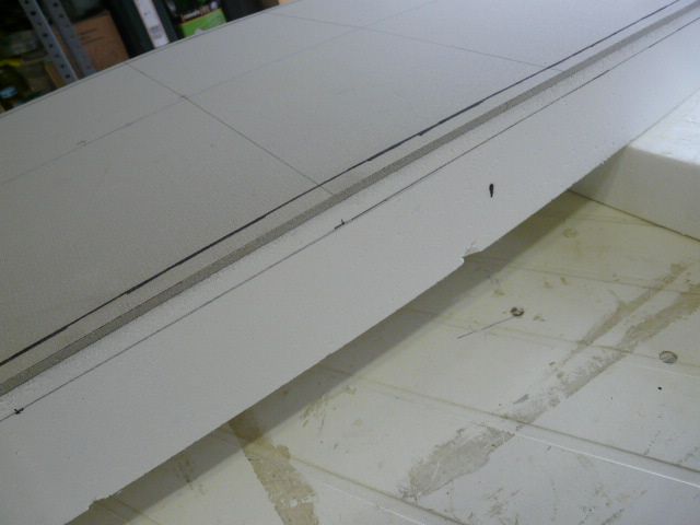 P1020581.jpg