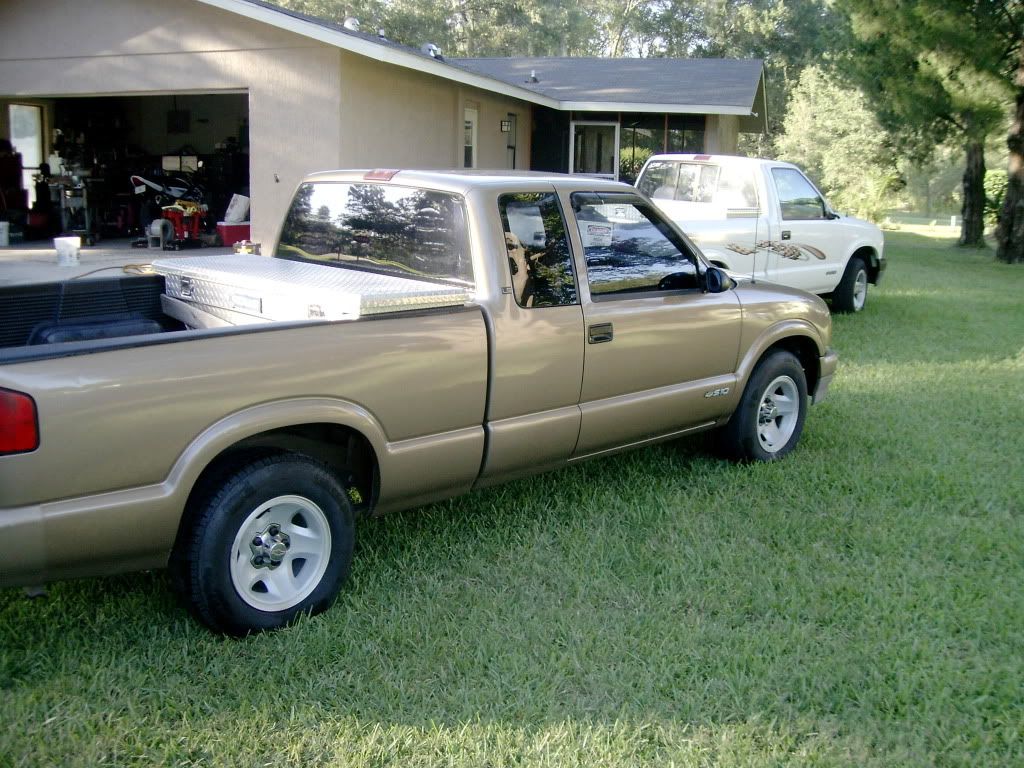 Tan S10