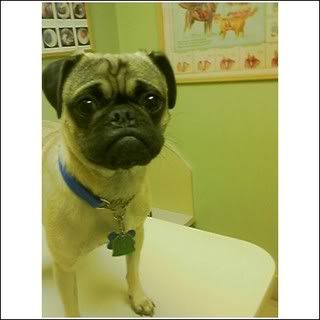 tumor2.jpg picture by collegeguy14