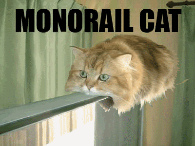 monorail cat gif. MonorailCat.gif humor