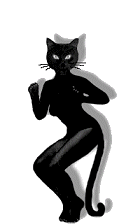 gatto nero balla