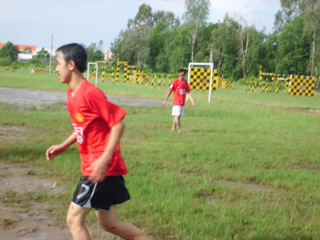 S7303070.jpg