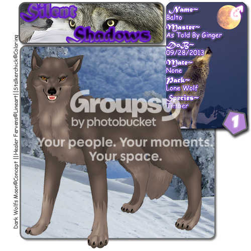 User Image