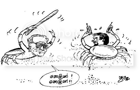 vimal10.jpg