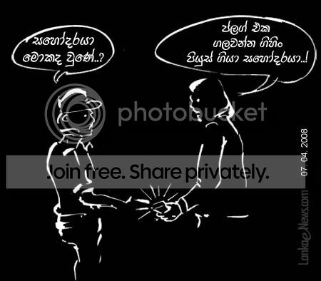 vimal2-1.jpg