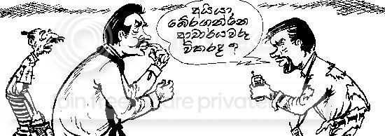 vimal9-1.jpg
