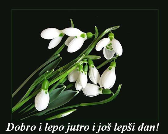 DOBROJUTRO-15.jpg