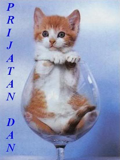 PRIJATANDAN-1.jpg